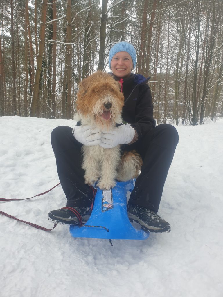 Wiolka i Floki na sankach