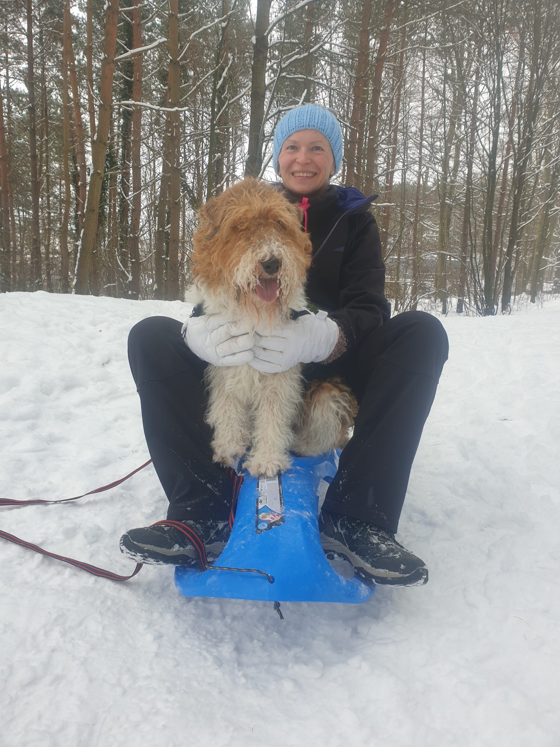 Wiolka i Floki na sankach