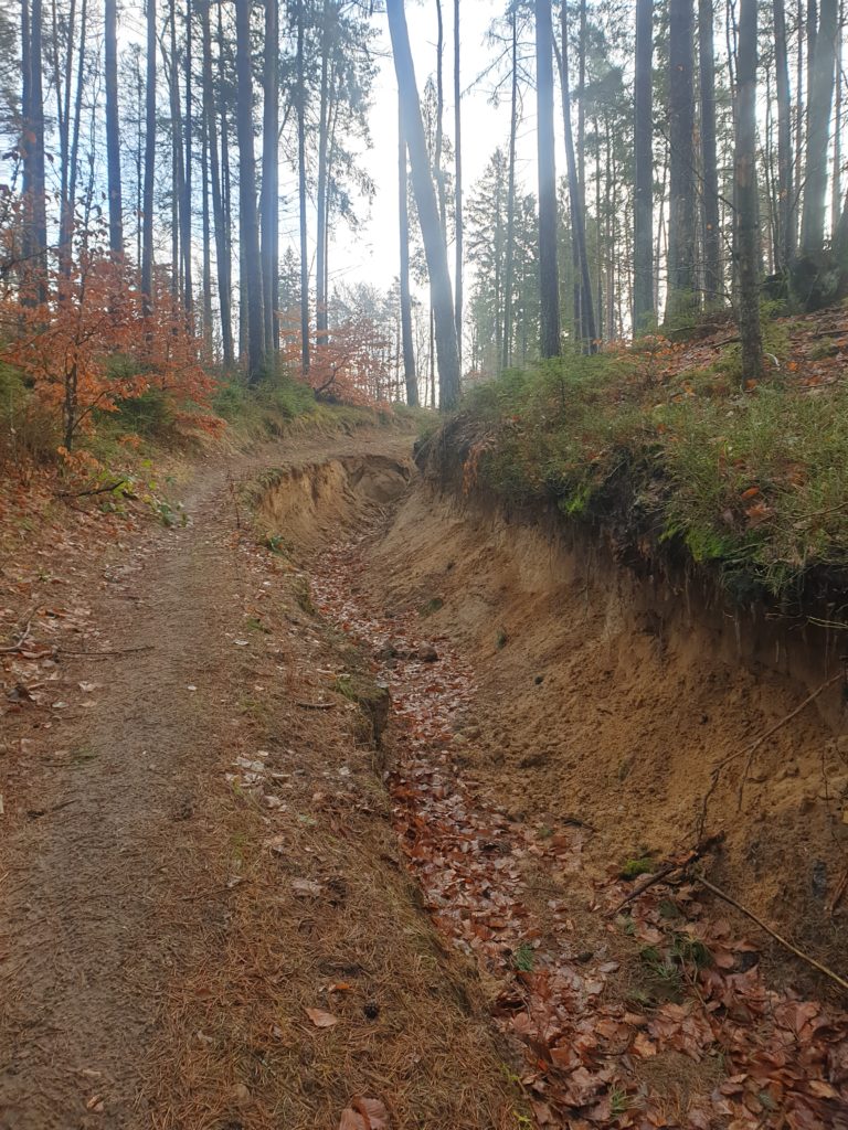 ścieżka się zapadła