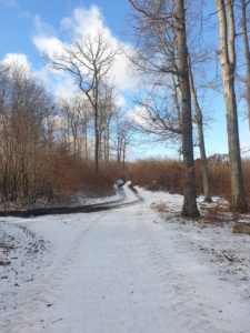 Trojmiejski Park Krajobrazowy zima